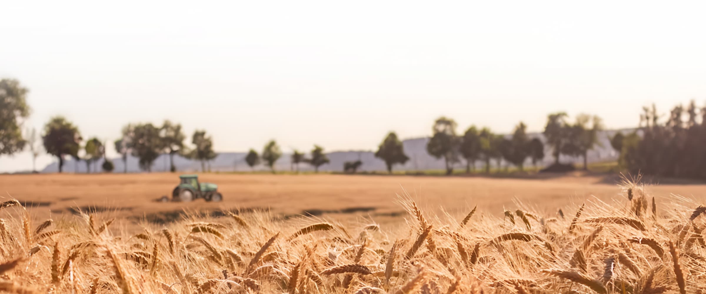 Tractor in a field